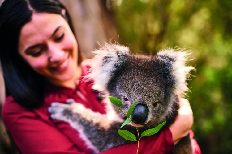 - © South Australian Tourism Commission