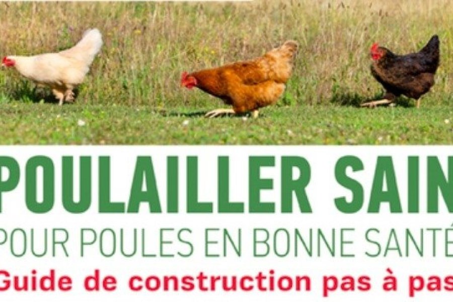 Parution du livre Poulailler sain pour poules en bonne santé, de Michel Andureau