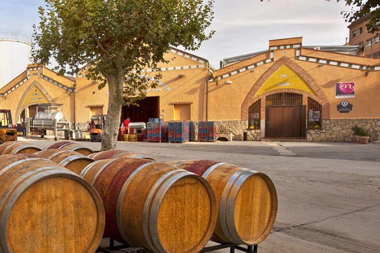 El Mas Roig. Bodega - © Joan Capdevila