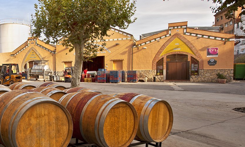 El Mas Roig. Bodega - © Joan Capdevila