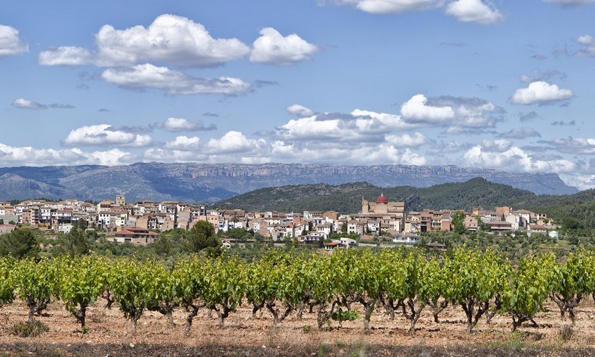 El Masroig. Paisaje de viña - © Joan Capdevila
