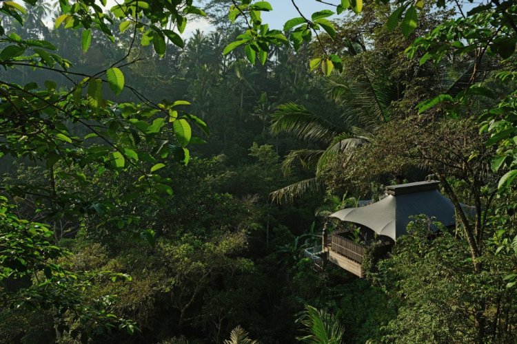 Capella Ubud - © DR