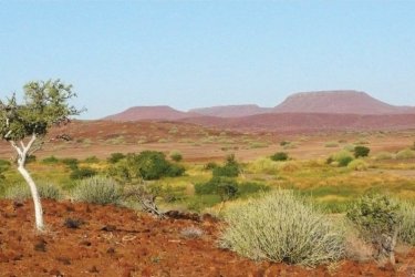 Les incontournables de Namibie