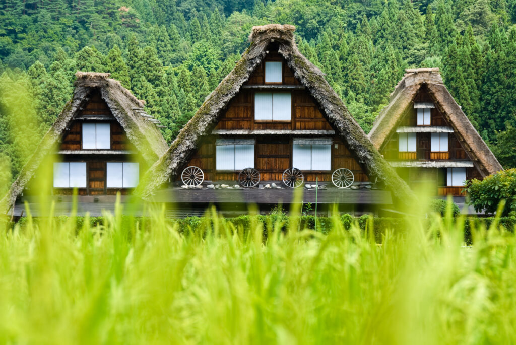 Que faire au Japon ? Shirakawa-go