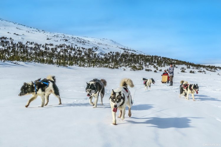 Parc national Kuururjuaq. - © Olivier Paradis