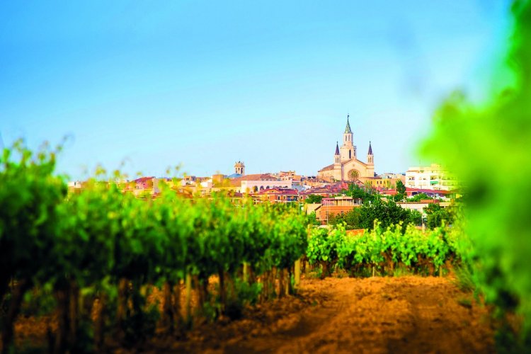 - © SERVEI DE TURISME DE VILAFRANCA DEL PENEDÈS