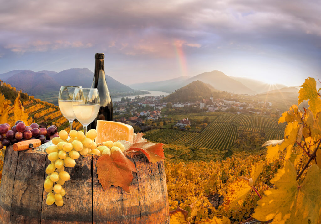 Vue sur la vallée de Wachau, route des vins d'Autriche