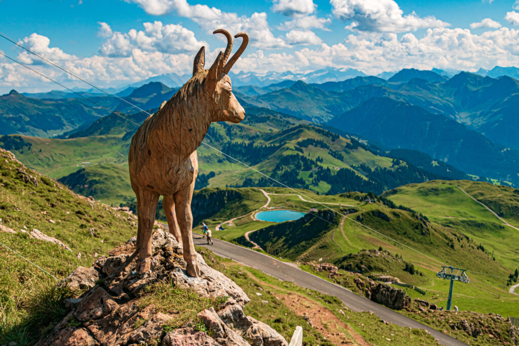 Vue depuis le Kitzbüheler Horn