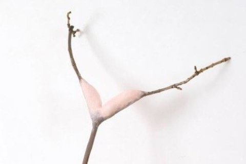 Thématique nature au musée Zadkine avec l'exposition Le Rêveur de la forêt
