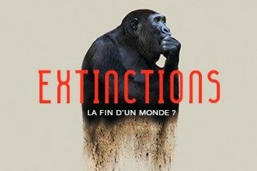 Extinctions, la fin d'un monde ? Exposition inédite sur la menace qui pèse sur les espèces