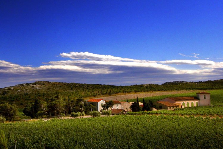Château Hospitalet - © Gérard Bertrand