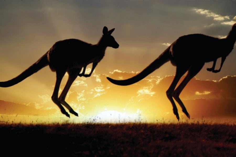 Tourisme en Australie : ce qu'il faut savoir