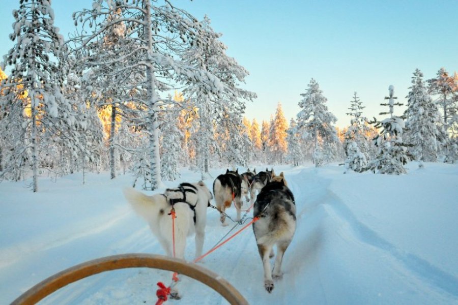 Que faire en Laponie ? Les 13 activités incontournables