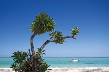 Les incontournables de l'île Maurice