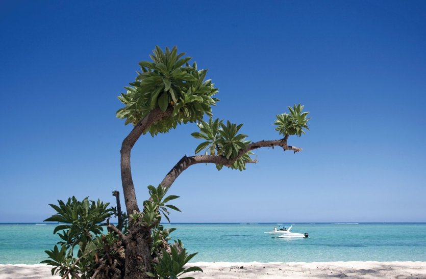 Mauritius Must See Attractions Ile Maurice Mauritius Must See Attractions Ile Maurice
