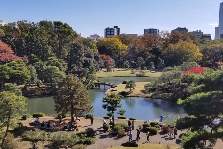 Hors des sentiers battus de Tokyo et Kumamoto