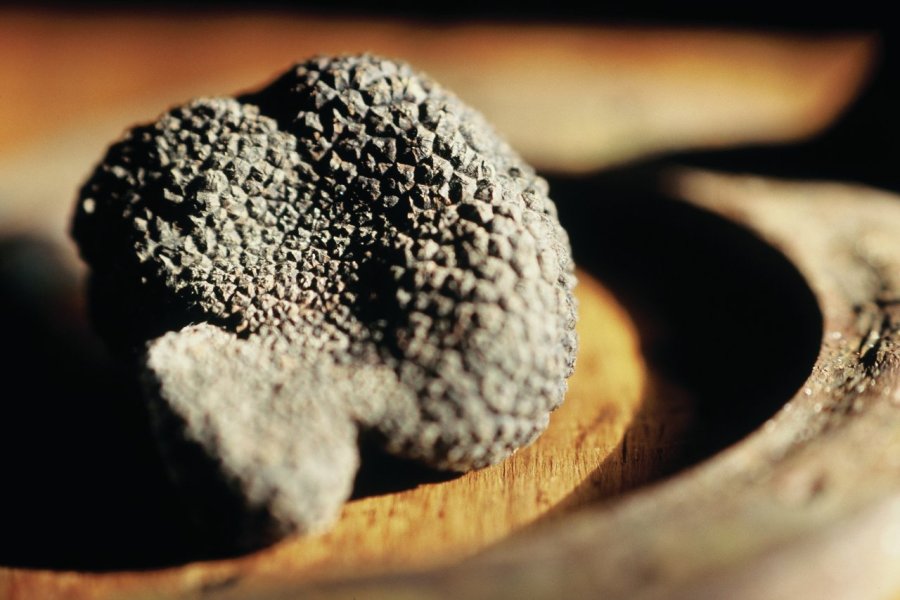 Marché aux truffes noires du Tricastin