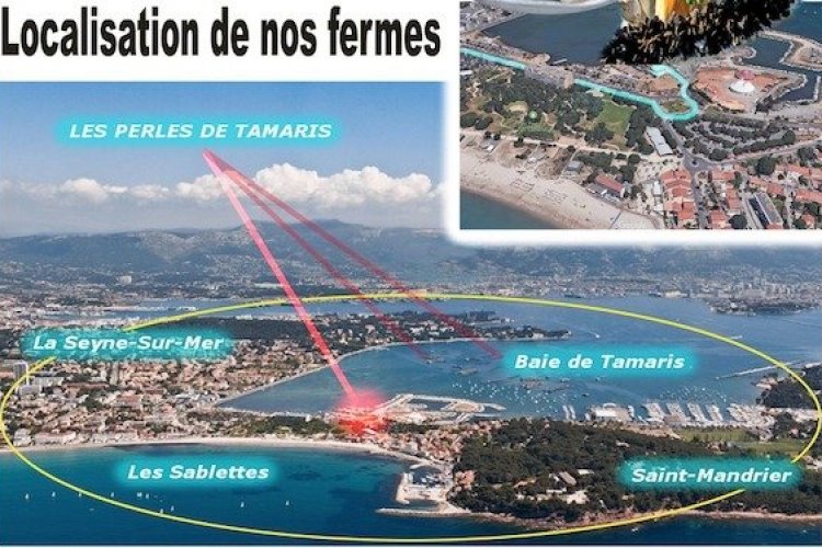 - © Perles de Tamaris