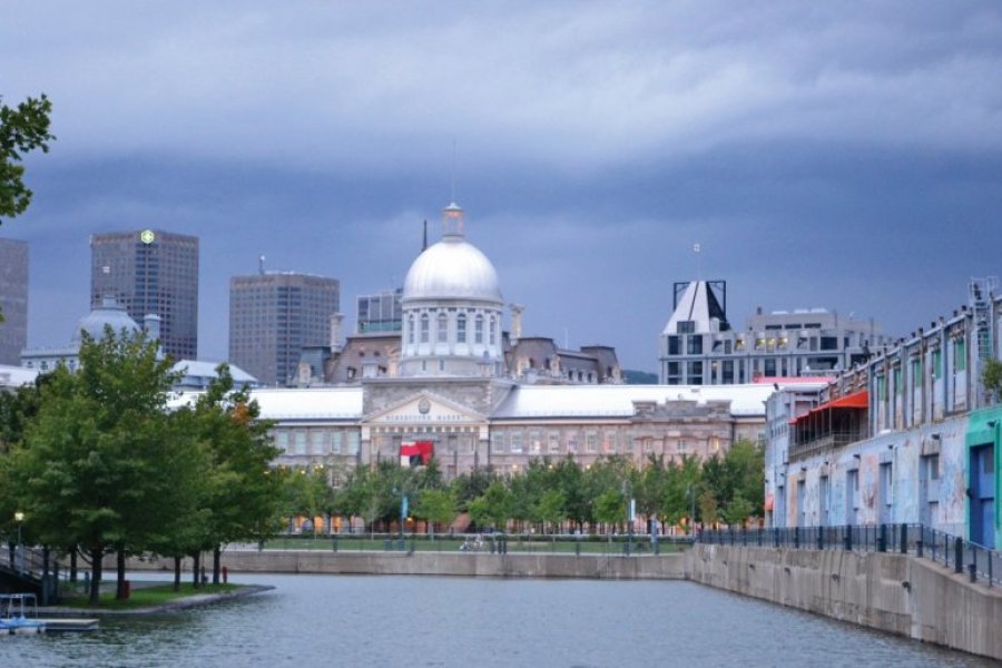 Top 10 de Montréal l'été