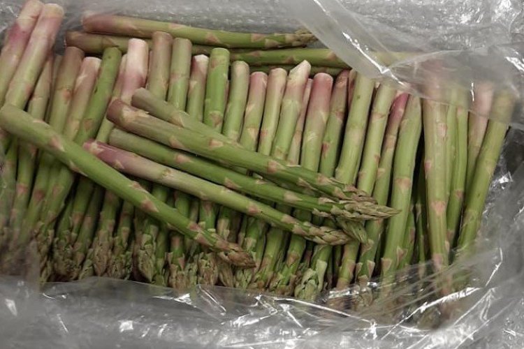 Asperges du Var - © Restaurant le Nid à Flayosc