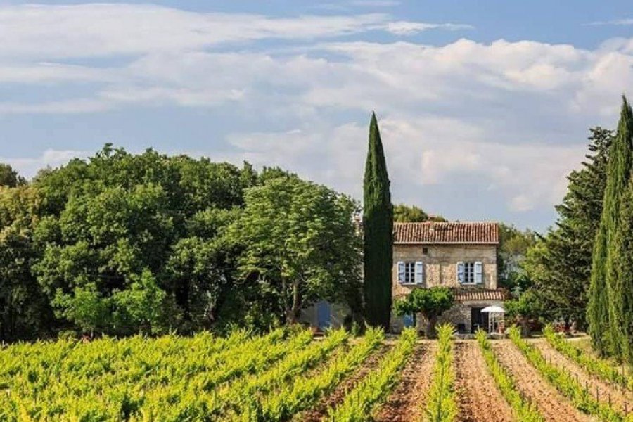 Quand le vin rime avec santé et solidarité