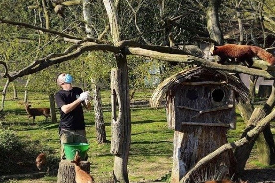 Le ZooSafari de Thoiry s'invite sur les téléphones !