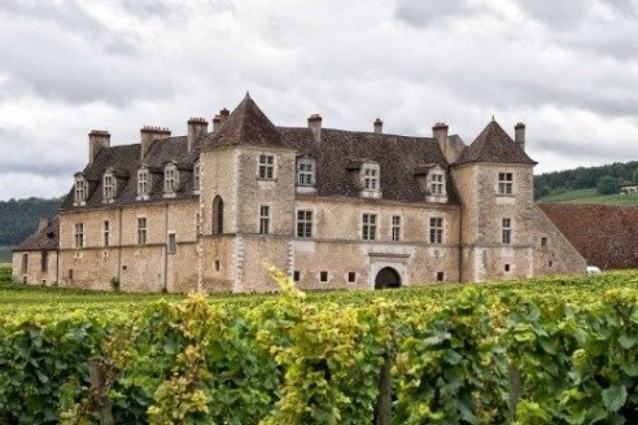 Les Château du Clos de Vougeot rouvre au public en s'adaptant à la situation sanitaire