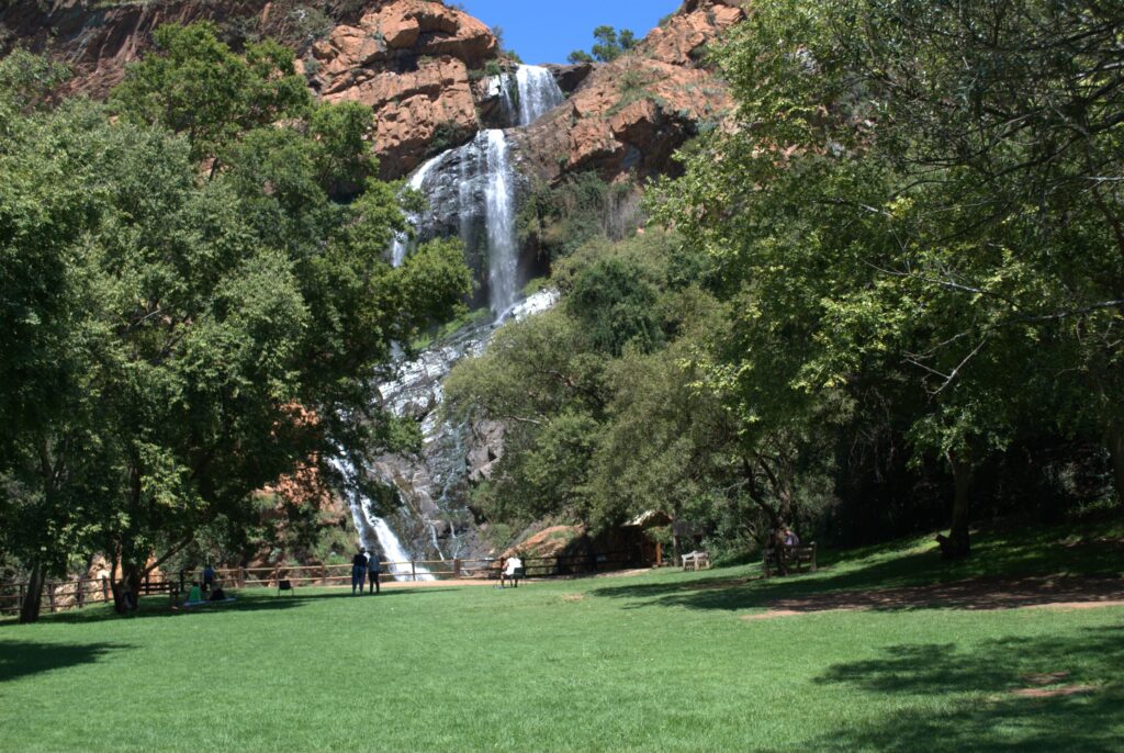 Le jardin botanique Walter Sisulu