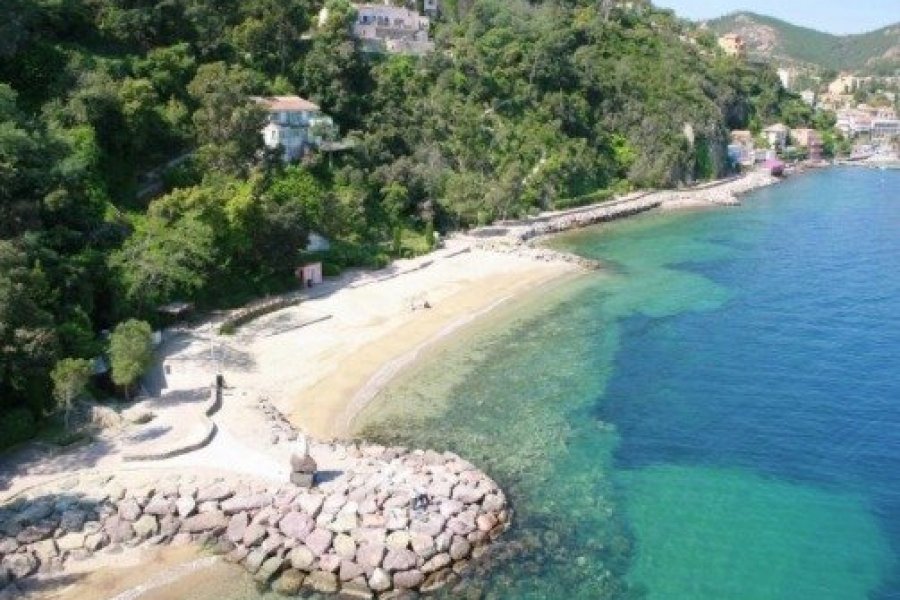 Une Market Place et un Pass Côte d'Azur France pour relancer la consommation touristique !