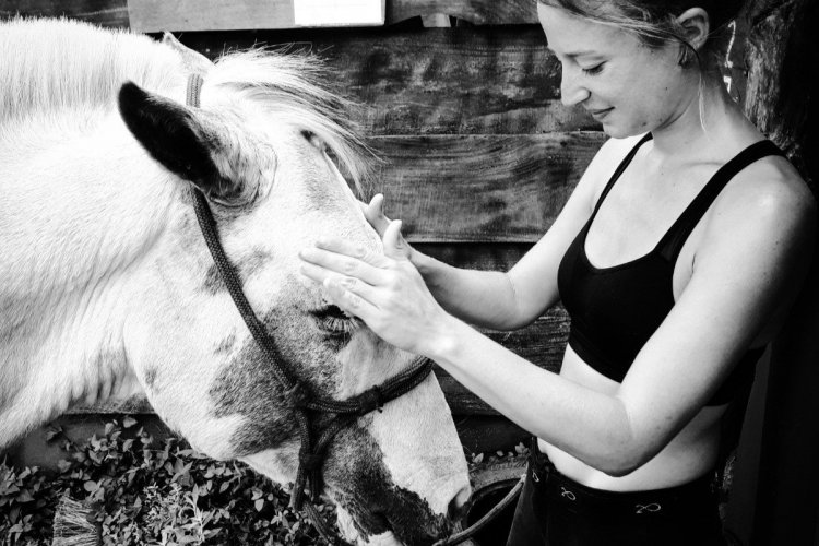 - © Horse Jungle - Costa Rica