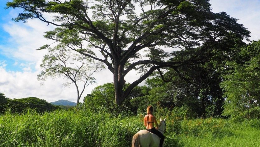 - © Horse Jungle - Costa Rica