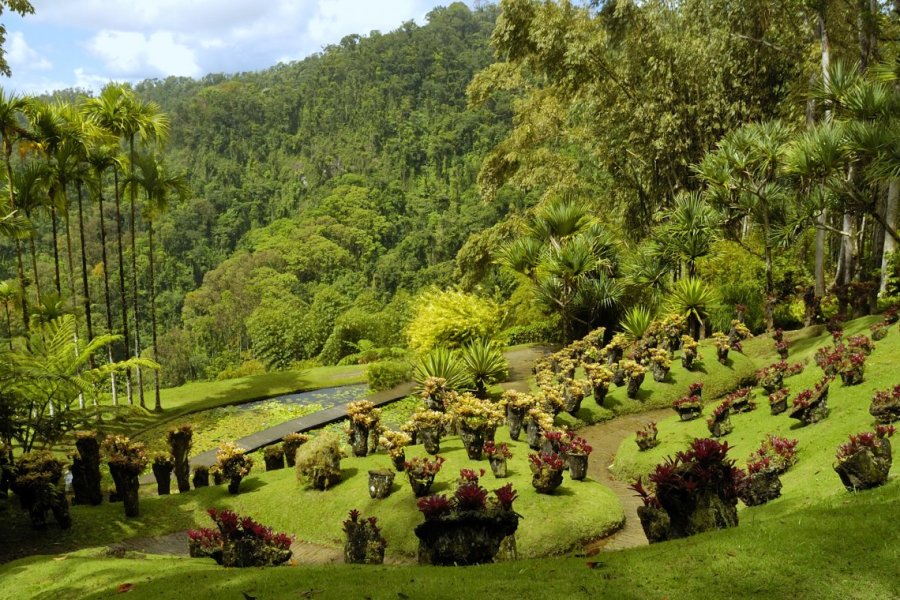 La Martinique, la destination résolument tendance cet été !