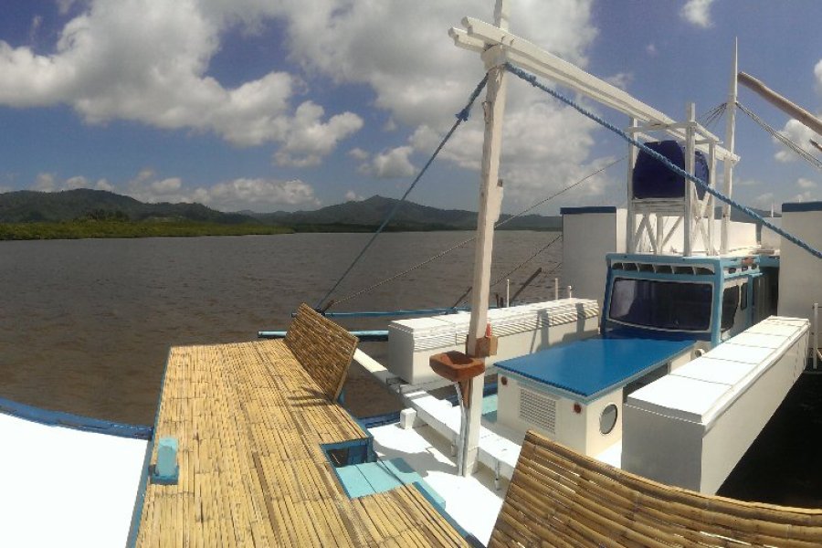 Palawan Secret Cruise : une expérience dans la baie d'El Nido.