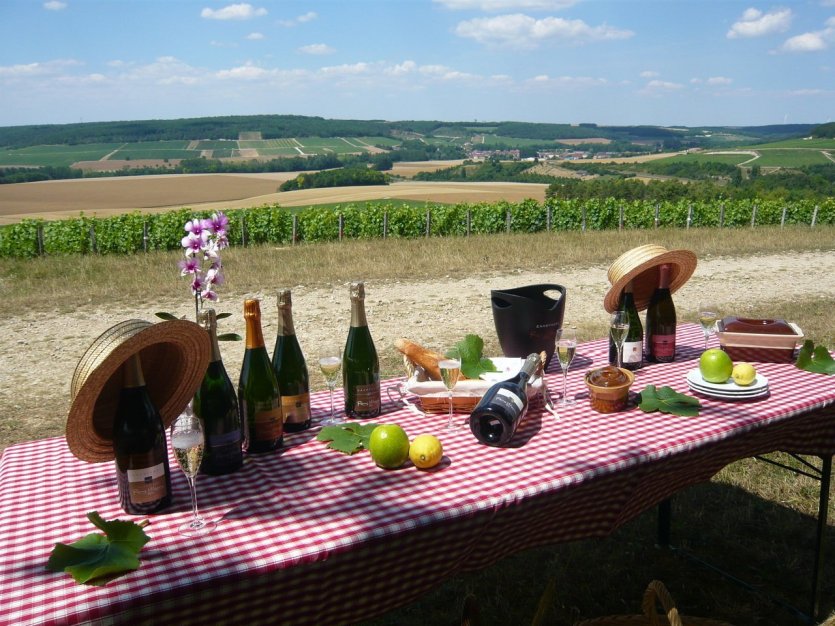 Pique-nique dans les vignes - © Champagne Massin