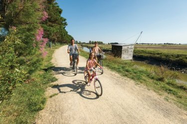 Les bons plans de Saliha en Vendée