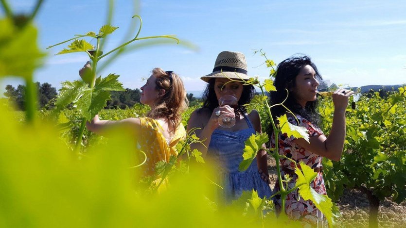Balades Vigneronnes en Grand Carcassonne - © Grand Carcassonne Tourisme