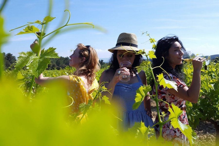 Balades Vigneronnes en Grand Carcassonne