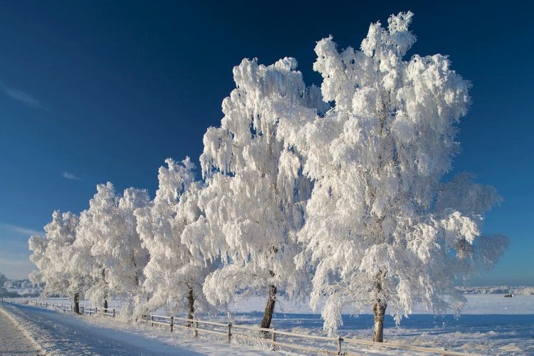 Lettonie Paysage hiver - © RTA EAST WEST