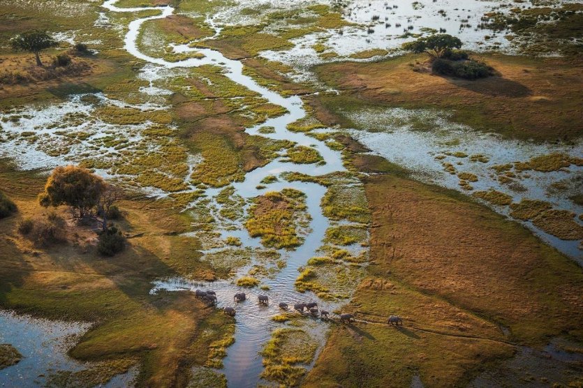 Delta de l'Okavango - © Damarana