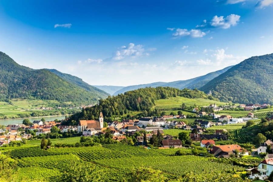 Les plus belles routes des vins en France et en Europe