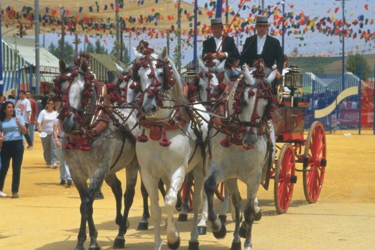 Feria de Cordoue - © DR