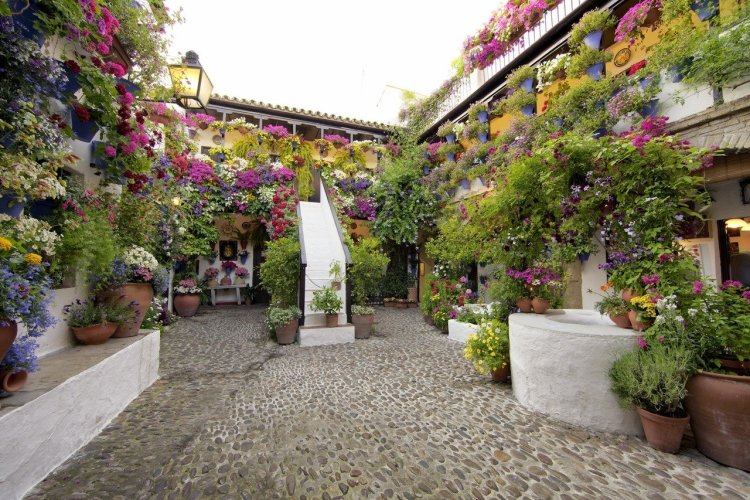 Patio - © DR