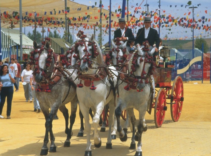 Feria de Cordoue - © DR