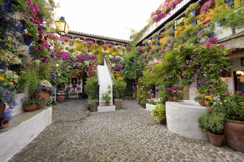 Patio - © DR