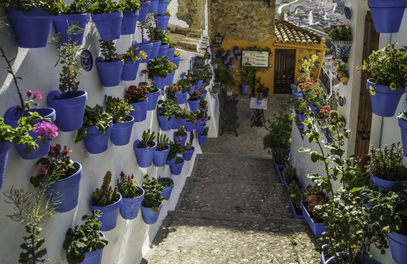 Patio de las Comedias - © DR
