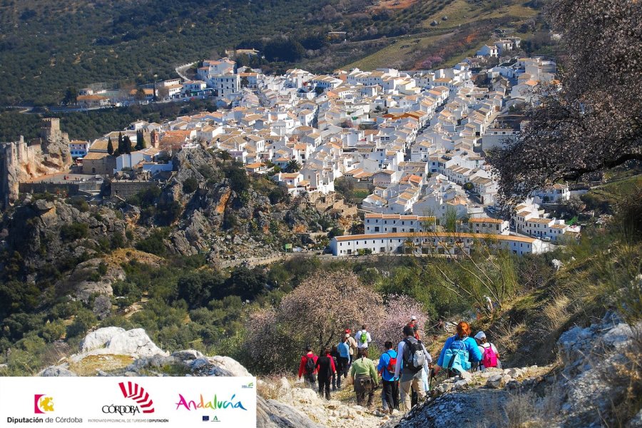 Les incontournables de la région de Cordoue, vivre l'authenticité de l'Andalousie