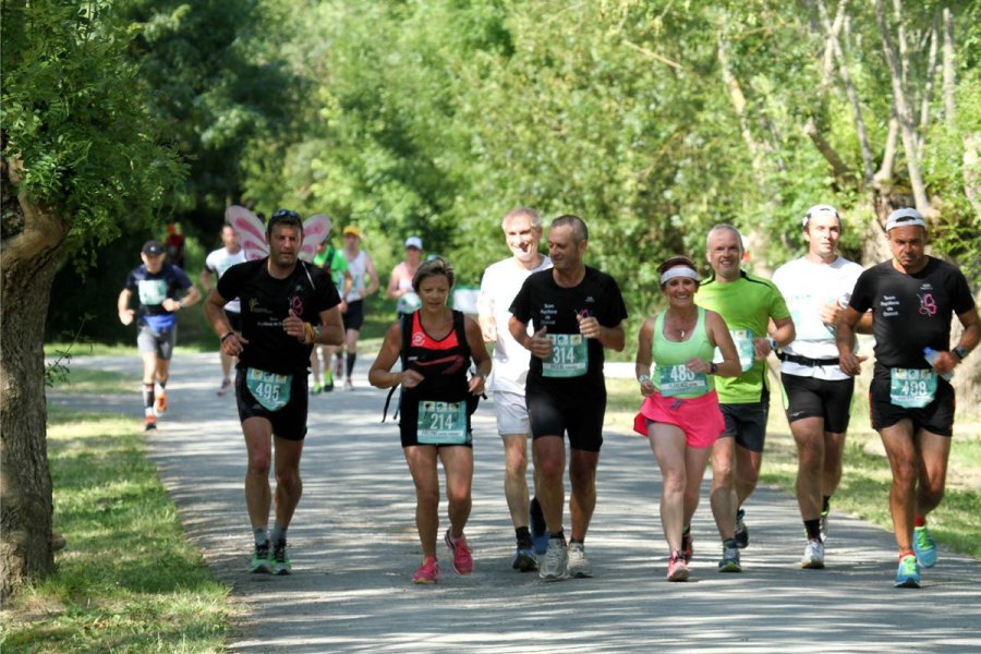 Le Maraisthon : 1er marathon écolo en France