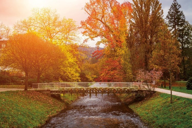 Lichtentaler Allee - © Baden-Baden Kur & Tourismus GmbH