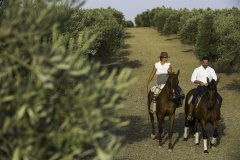 La province de Jaén, entre nature merveilleuse et patrimoine historique remarquable