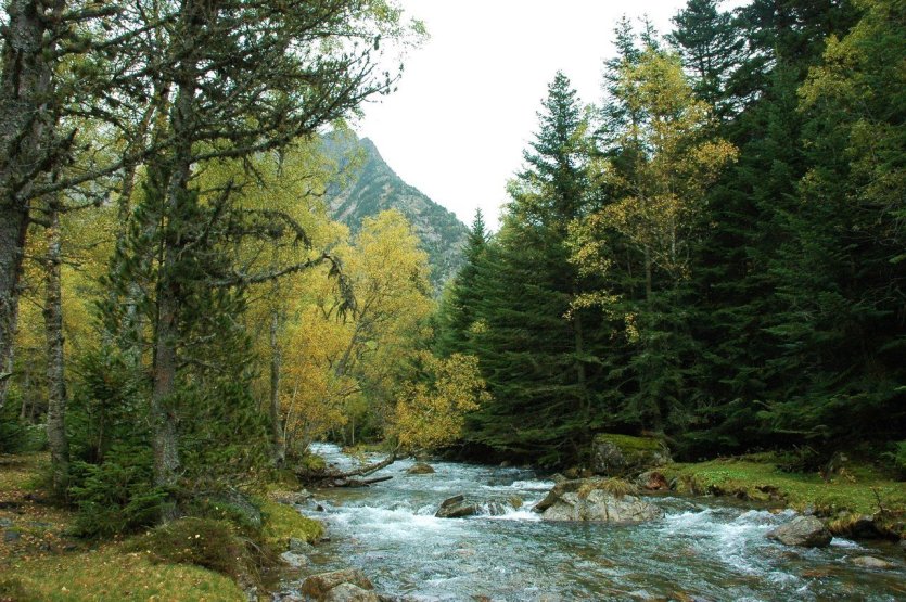 Parc Natural Alt Pirineu. Arxiu Parc Natural - © DR